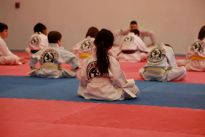Ahn Taekwondo Institute Picture 8