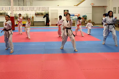Ahn Taekwondo Institute Picture 9
