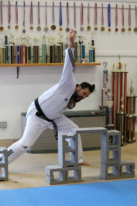 Ahn Taekwondo Institute Picture 7