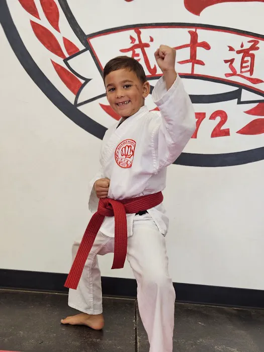Buckner Martial Arts Picture 4