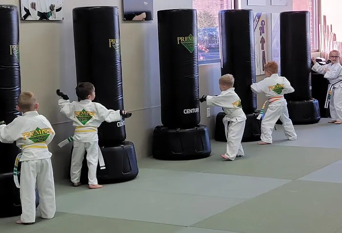 Premier Martial Arts Mason Picture 3