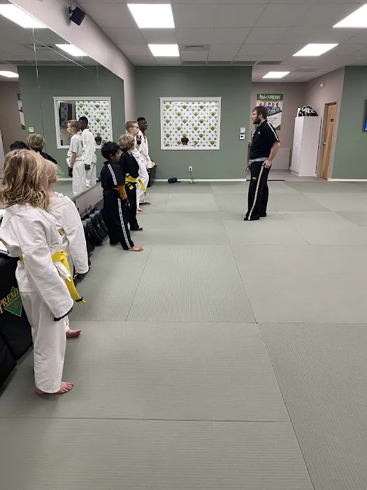 Premier Martial Arts Mason Picture 5