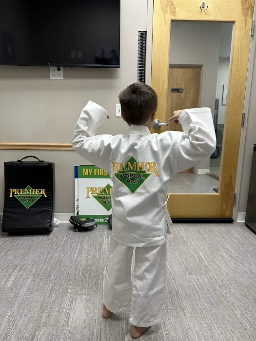 Premier Martial Arts Mason Picture 8