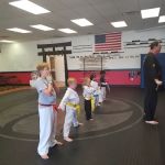 Martial Arts America Landen