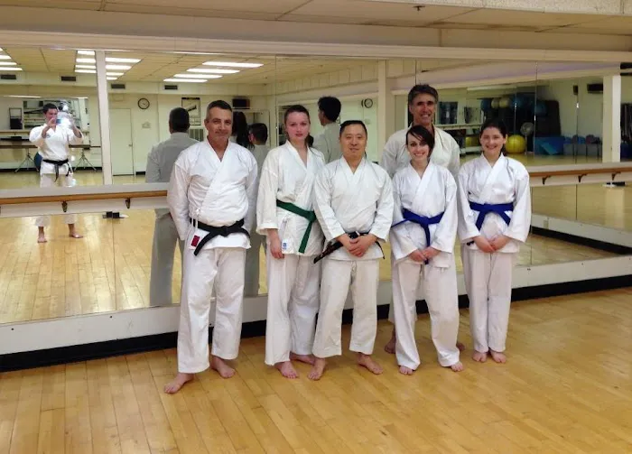 Japanese Karate-Do Shotokan Picture 2