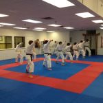 Japanese Karate-Do Shotokan