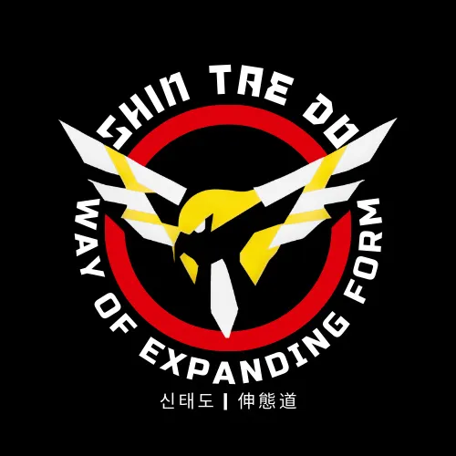 Cincinnati Shintaedo Academy Picture 1