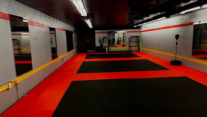 Cincinnati Shintaedo Academy Picture 4