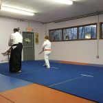 Aikido Martial Arts Center -Heiwa Toushinkan Dojo