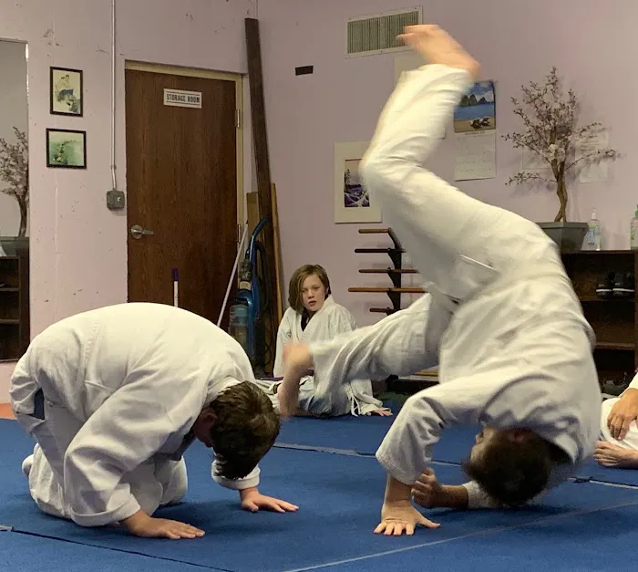 Aikido Martial Arts Center -Heiwa Toushinkan Dojo Picture 7