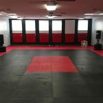 Integrity Martial Art cincinnati