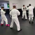 Ian Lauer's Kenpo Karate