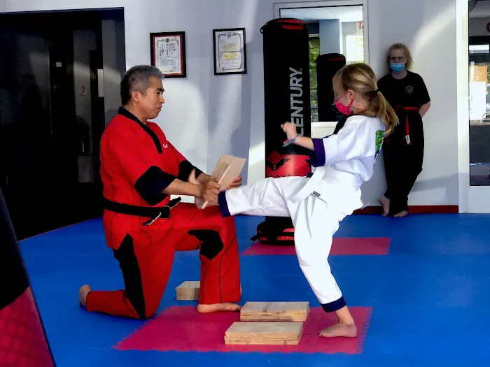 Saugatuck Martial Arts Picture 10