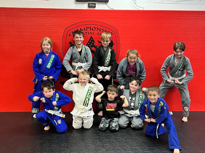 Championship Martial Arts Academy Picture 1