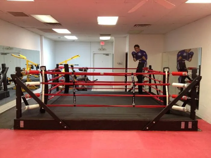 Championship Martial Arts Academy Picture 4