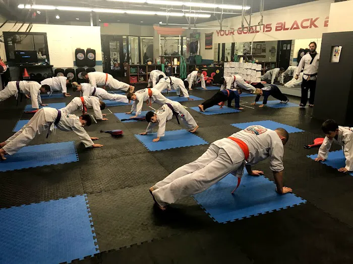 Master Hannah's Pro Martial Arts Picture 1