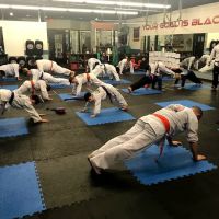 Master Hannah's Pro Martial Arts ico