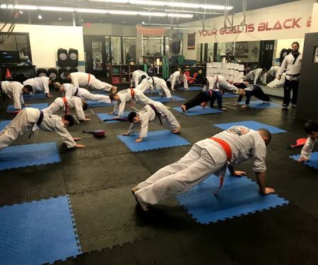 Master Hannah's Pro Martial Arts