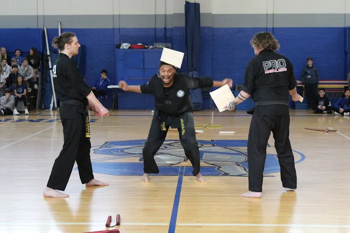 Master Hannah's Pro Martial Arts Picture 4