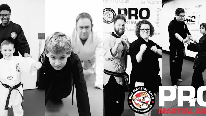 Master Hannah's Pro Martial Arts Picture 5