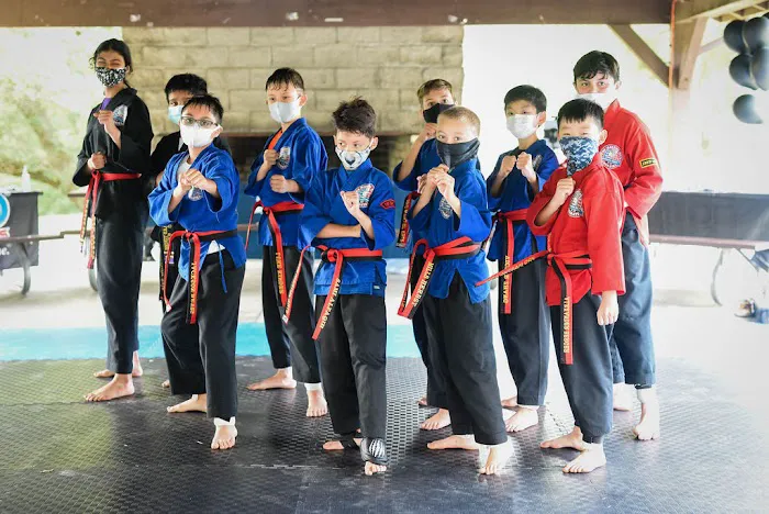 Master Hannah's Pro Martial Arts Picture 8