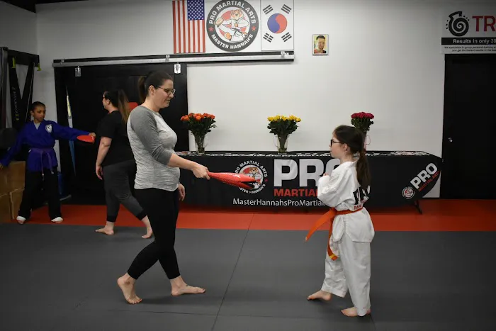 Master Hannah's Pro Martial Arts Picture 7