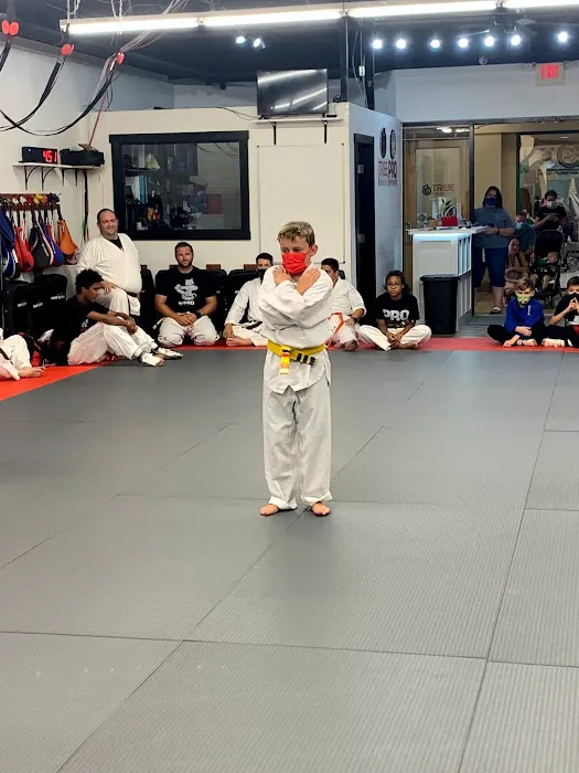 Master Hannah's Pro Martial Arts Picture 6