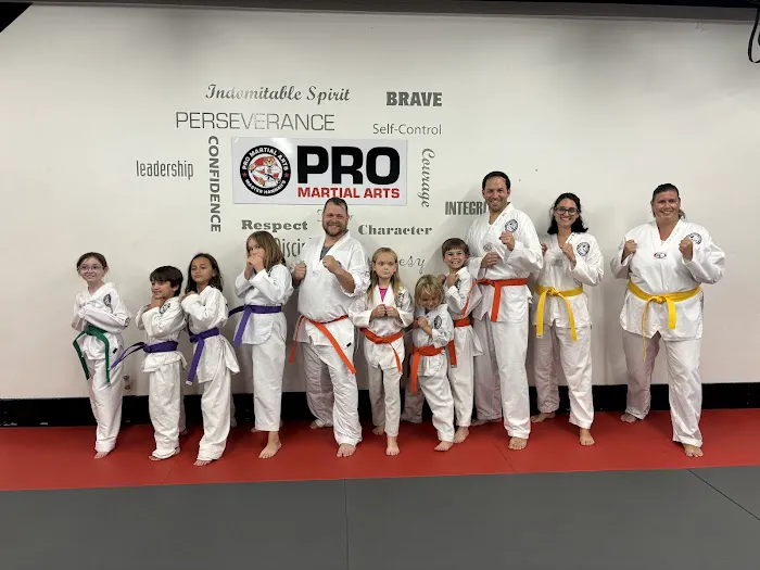 Master Hannah's Pro Martial Arts Picture 10