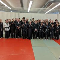 Cincinnati Taekwondo Center ico