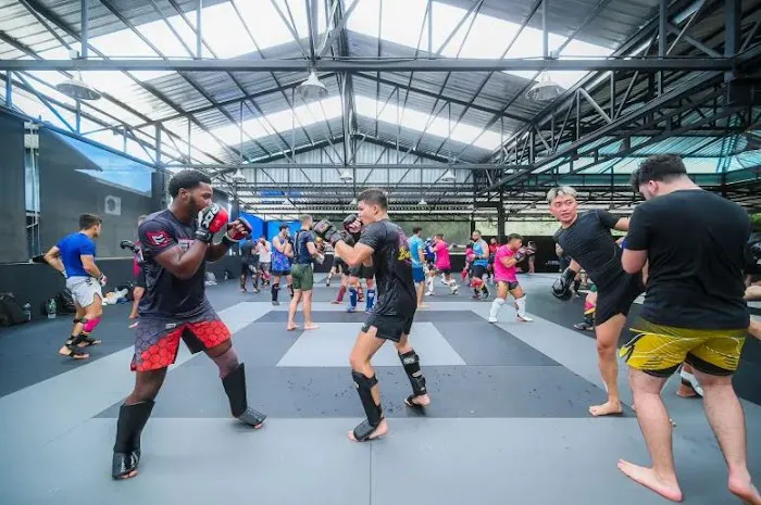 Ark MMA & Fitness Picture 6