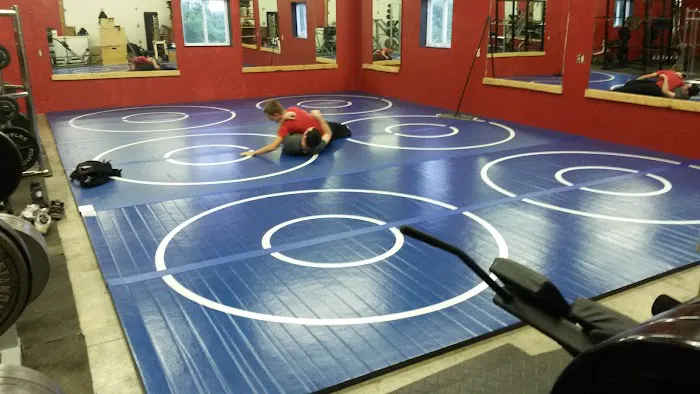 Infinity Arts Picture 6