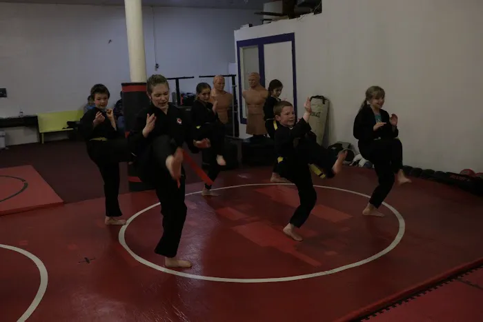 Martial Arts School of Ki - Kachido Aikijitsu Picture 4