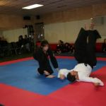 Martial Arts School of Ki - Kachido Aikijitsu