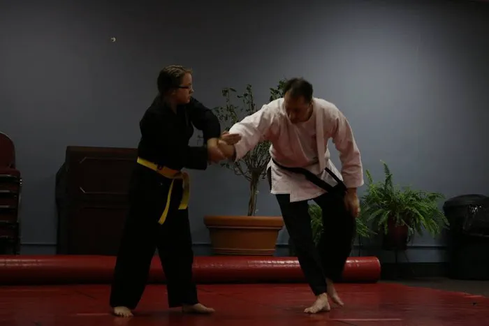 Martial Arts School of Ki - Kachido Aikijitsu Picture 2