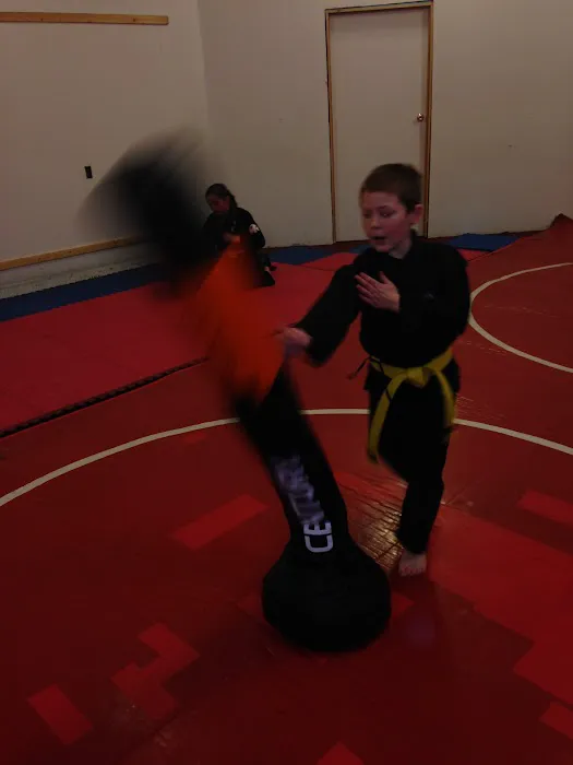 Martial Arts School of Ki - Kachido Aikijitsu Picture 6