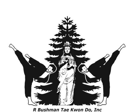 r bushman tae kwon do