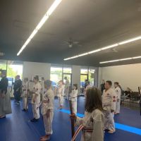 Ichiban Karate School ico