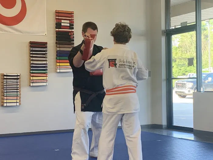Ichiban Karate School Picture 6