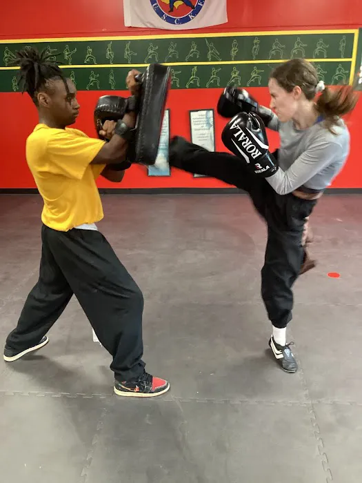 Academy of Kung Fu & Tai Chi Picture 2