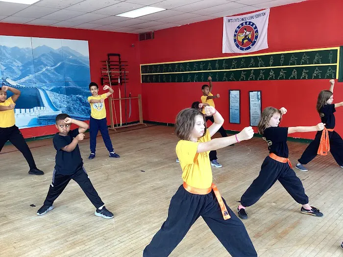 Academy of Kung Fu & Tai Chi Picture 3