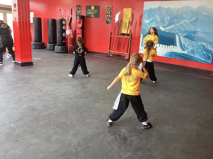 Academy of Kung Fu & Tai Chi Picture 4