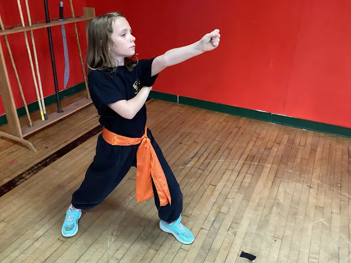 Academy of Kung Fu & Tai Chi Picture 10