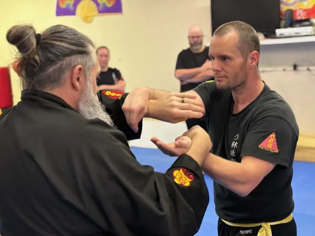 Blue Lantern Martial Arts - Shaolin Wing Chun Kung Fu Picture 9