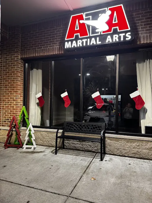 Invictus Martial Arts ATA Picture 5