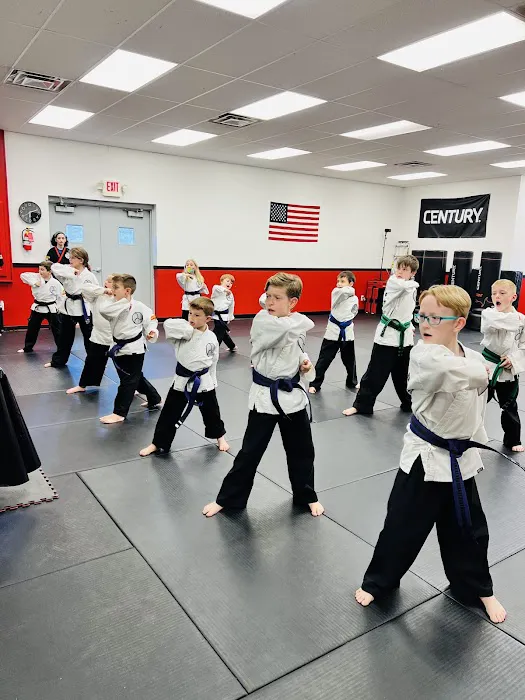 Martial Arts America - Wilder Picture 6
