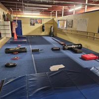 Arnold Martial Arts ico