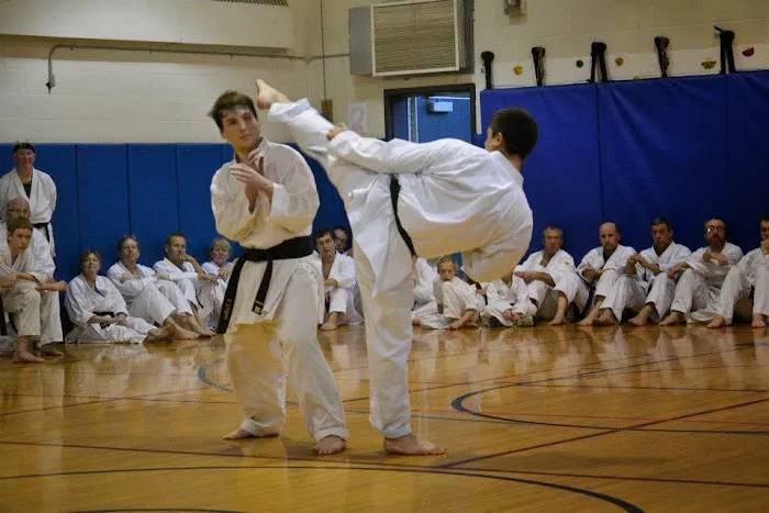 Nishime Martial Arts of Florence Picture 5