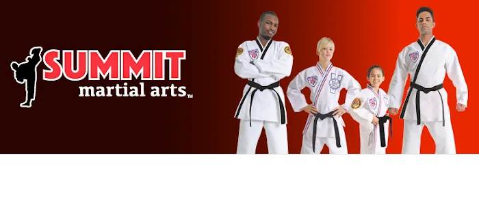 Summit Martial Arts Picture 8