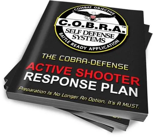 COBRA Self Defense Canton Picture 5
