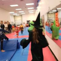 Kim's World Champion TKD Academy ico